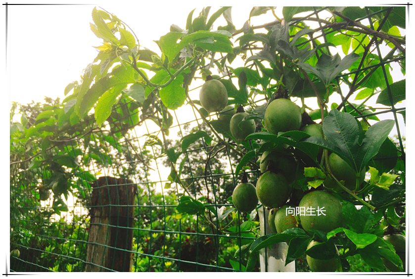 永利皇宫·(463cc) - 官方网站
