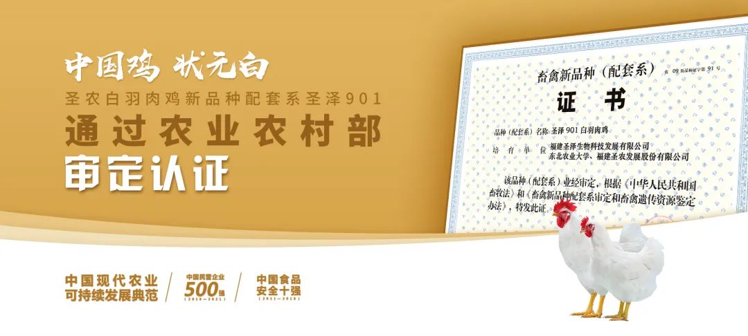 20220322152022 永利皇宫·(463cc) - 官方网站