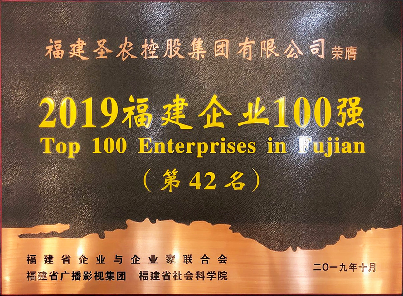 2019（永利皇宫463cc集团）福建企业100强